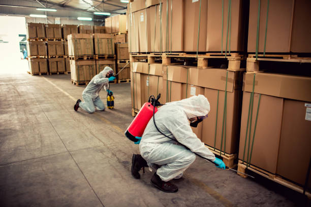 Best Affordable Pest Control Services  in North Lindenhurst, NY