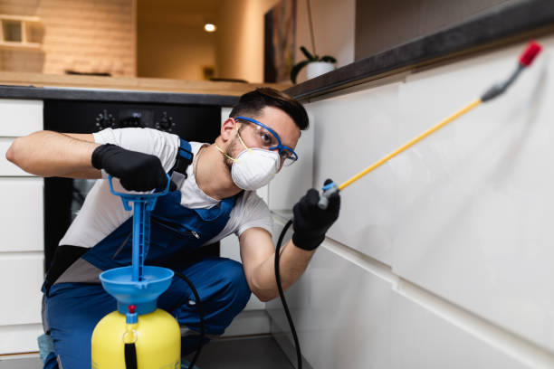 Best Wasp Removal Services  in North Lindenhurst, NY