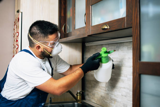 Pest Control Cost in North Lindenhurst, NY