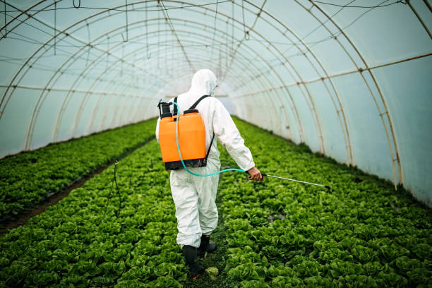 Best Pest Control Near Me  in North Lindenhurst, NY