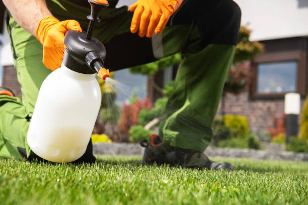 Best Mosquito Control Services  in North Lindenhurst, NY