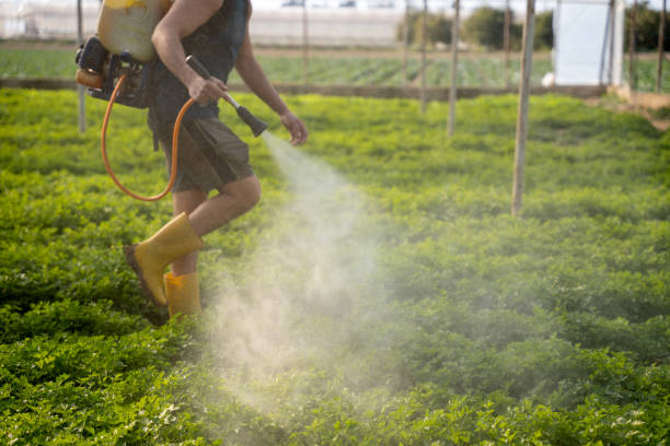 Best Best Pest Control Companies  in North Lindenhurst, NY