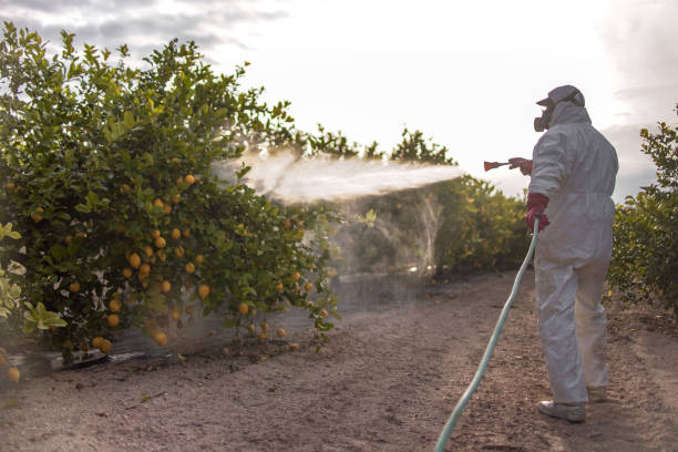  North Lindenhurst, NY Pest Control Pros