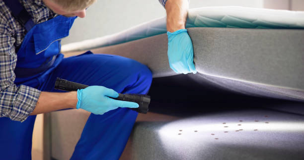 Flea Control Services in North Lindenhurst, NY