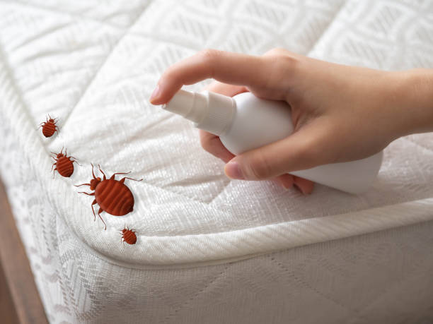 Best Commercial Pest Control Services  in North Lindenhurst, NY