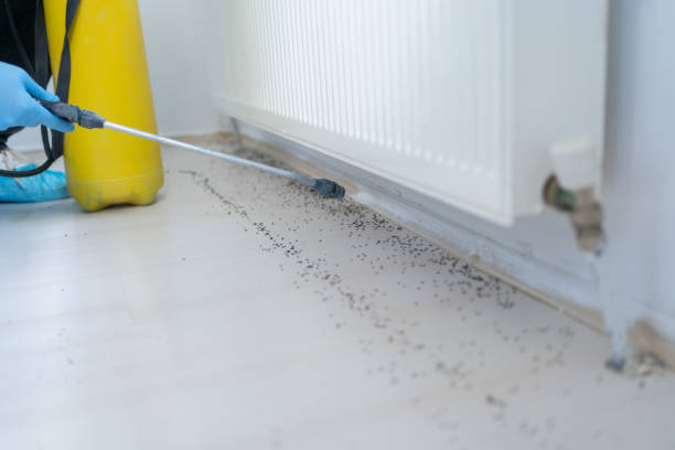 Best Best Pest Control Companies  in North Lindenhurst, NY