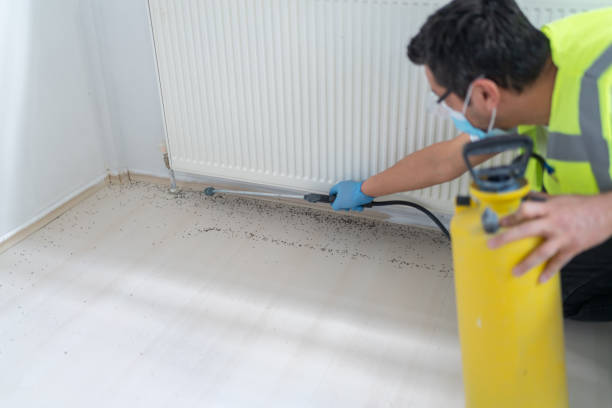 Best Pest Control Treatment  in North Lindenhurst, NY