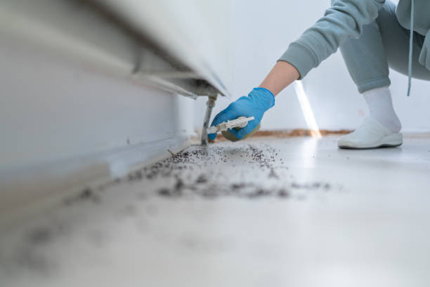 Best Pest Removal Services  in North Lindenhurst, NY
